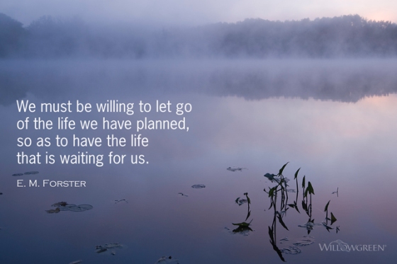 Willing to Let Go: A PhotoThought